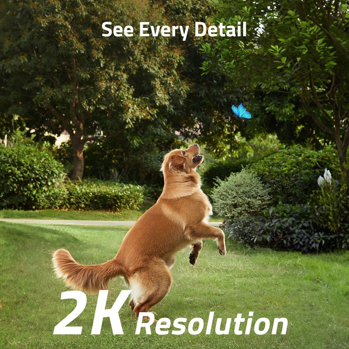 eufy E340 Video Doorbell and eufy SoloCam S230 Security Camera Bundle