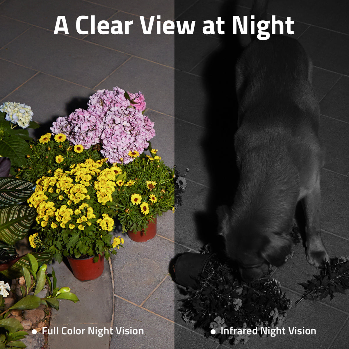 eufy E340 Video Doorbell and eufy SoloCam S230 Security Camera Bundle